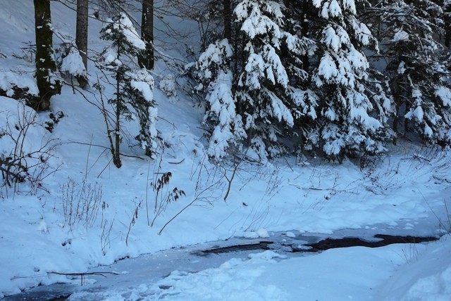Gorski kotar